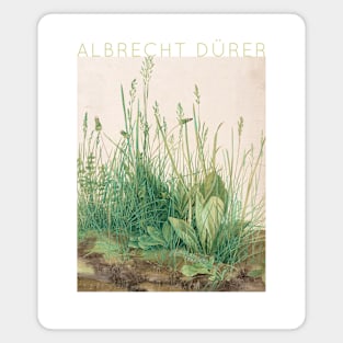 Albrecht Dürer - Great Piece of Turf Magnet